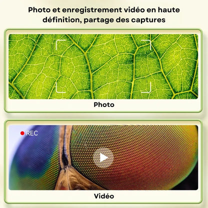 MiniVision - Microscope Numérique